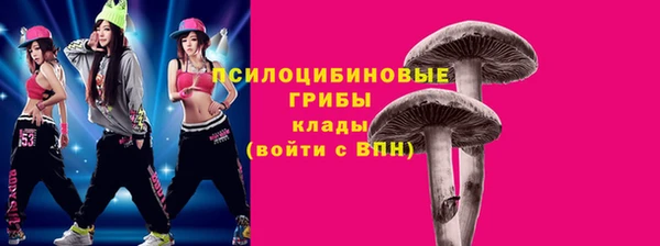 mdpv Краснослободск