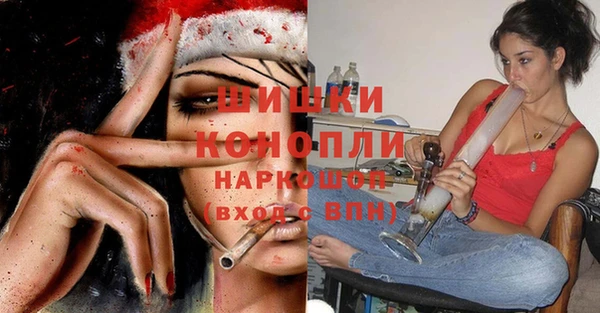 mdpv Краснослободск