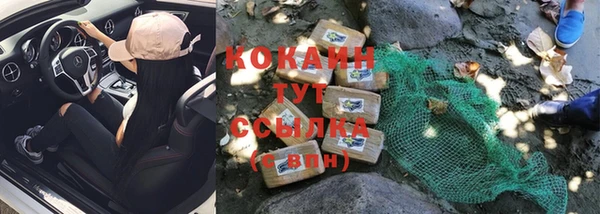 mdpv Краснослободск